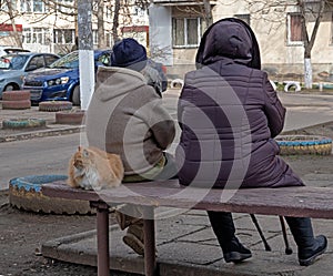 Fluffy Ginger Cat Warmed Up Next to Two Elderly Women Sitting On a Bench photo