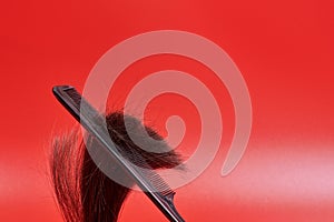 Fluffy hair in a comb on a red background. Unruly brown hair escapes from the curl when combed. Hair loss from a curl close up