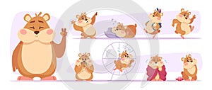 Fluffy hamsters. Domestic pets sleeping playing and eating exact vector hamsters in cartoon style
