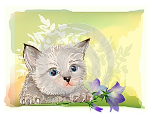 fluffy kitten with bluebell