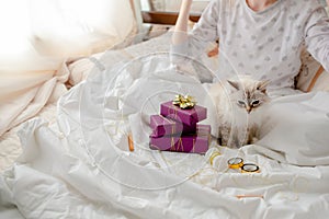 Fluffy kitten with presents, bows and ribbons. Top horizontal view. Christmas and New year concept copyspace