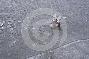 Fluffy obsolete slipper on the frozen water surface