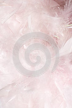 Fluffy pink feather light and cloudy