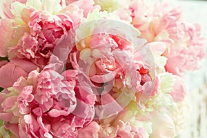 Fluffy pink peonies flowers