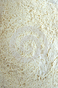 Fluffy raw white bread dough texture, top view
