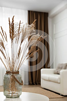 Fluffy reed plumes on white table in living room interior