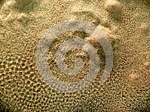 Fluffy sand produced by vibrating surface. Abstract background that looks like sand dunes from another planet