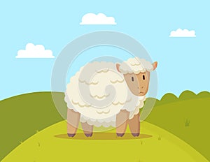 Fluffy Sheep Walking on Meadow Colorful Poster