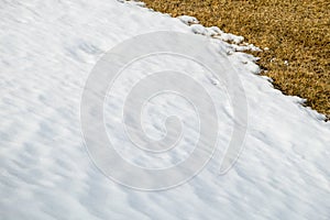 Fluffy snow texture on hiking trail