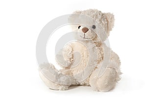 Fluffy teddy bear