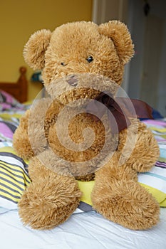 Fluffy teddybear