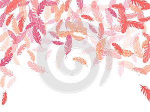 Fluffy twirled feathers on white design.