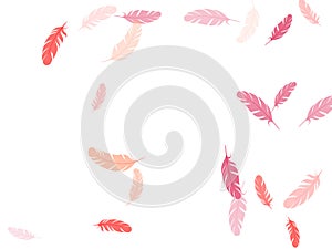 Fluffy twirled feathers on white design.