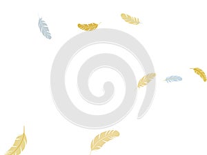 Fluffy twirled feathers on white design.