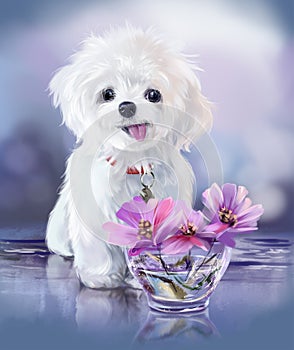 Fluffy white bichon puppy and flowers in a vase