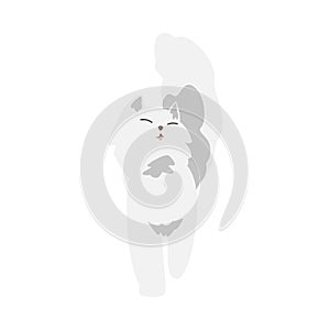 Fluffy White Cat as Furry Domestic Pet Vector Illustration