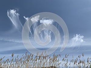 With fluffy white clouds against a crystal clear, blue sky.