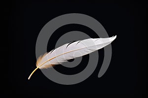 a fluffy, white down feather on black background