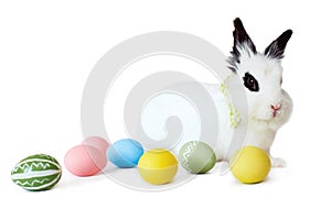 Fluffy white rabbit with Easter eggs