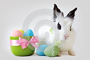 Fluffy white rabbit with Easter eggs isolated on grey background