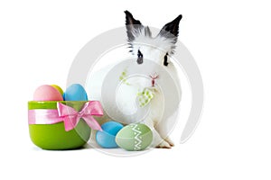 Fluffy white rabbit with Easter eggs isolated on white background.