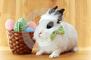 Fluffy white rabbit with Easter eggs