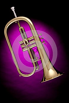 Flugalhorn Trumpet Isolated on Pink