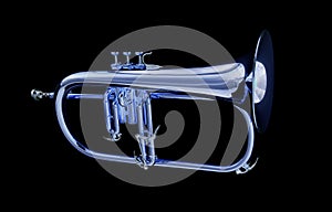 Flugelhorn