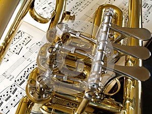 Flugelhorn Detail 09