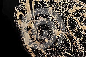 Fluid Art. Metallic gold abstract waves on Black background. Marble effect background or texture