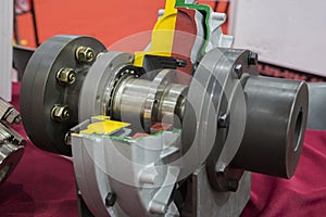 The Fluid Coupling photo