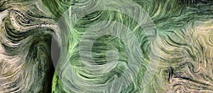 Fluid lines of green colors movement photo