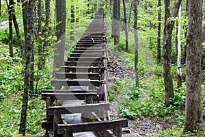 Flume at Mabry Mill, Blue Ridge Parkway, Virginia, USA