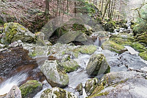 Flume in Spiegelau in the bavarian forest