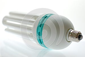 Fluorescent lamp