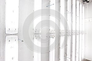 The fluorescent lamps