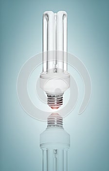 Fluorescent Light Bulb