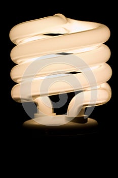 Fluorescent Light Bulb