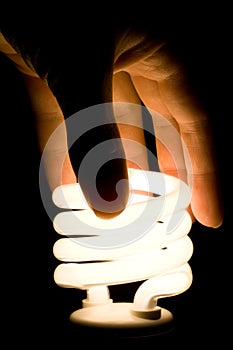 Fluorescent Light Bulb