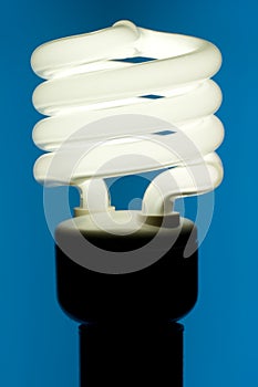 Fluorescent Light Bulb