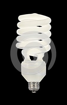 Fluorescent Light Bulb