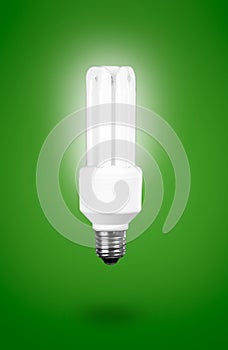 Fluorescent Light Bulb