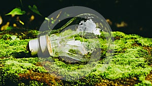 A fluorescent light bulb in sunlight on green nature background. Green business, economy, eco-industries start up ideas innovation