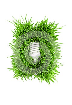 Fluorescent lightbulb on grass