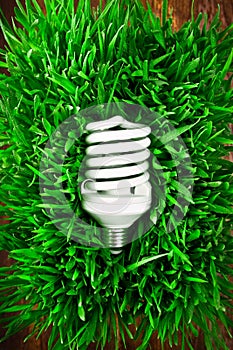 Fluorescent lightbulb on grass