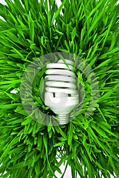 Fluorescent lightbulb on grass