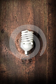 Fluorescent lightbulb on wood