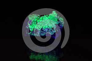 Fluorescent Tantalite Minerals photo