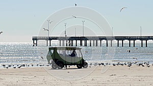 A flurry of seagulls at an ocean beach near a golf cart, with a fishing pier in the distance, on a sunny day