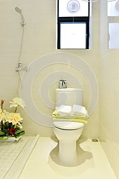 Flush toilet in bathroom